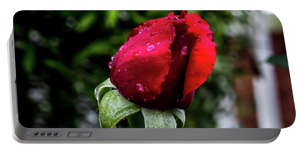 Flower Portable Battery Charger featuring the digital art La Vie en Rose by Ed Stines