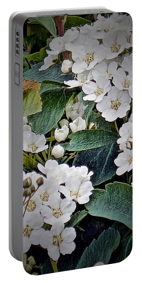 Spring Portable Battery Charger featuring the digital art Lacey Patterns by Wild Thing