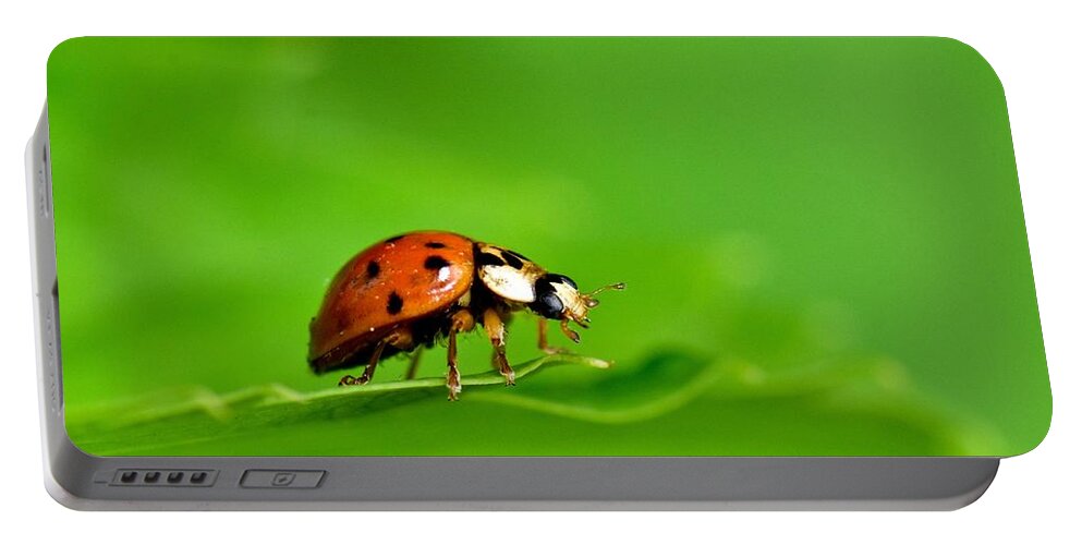 Wall Art Portable Battery Charger featuring the photograph Lady Bug by Jeffrey PERKINS