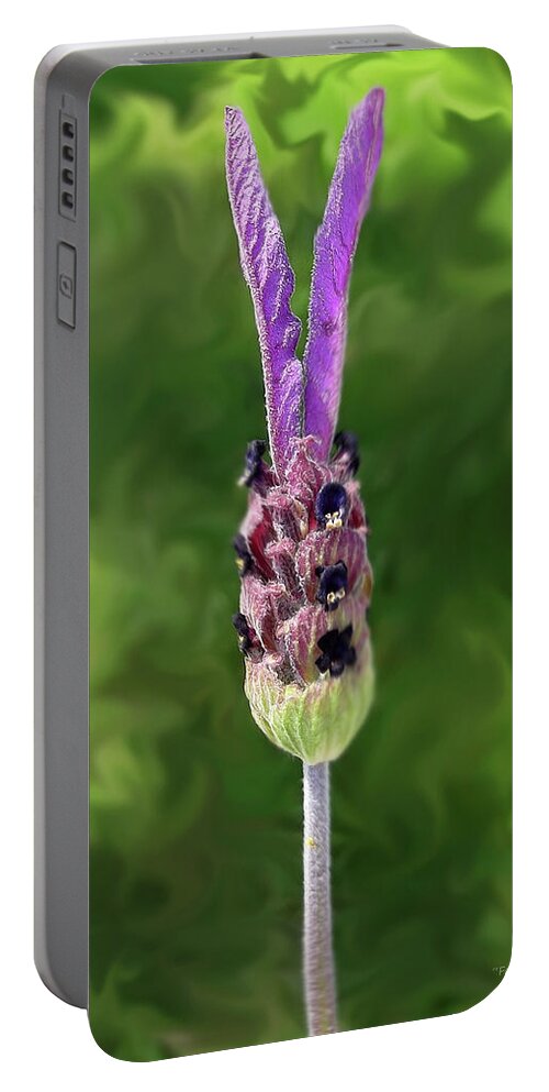 Farmboyzim Portable Battery Charger featuring the photograph Lady Lavender by Harold Zimmer