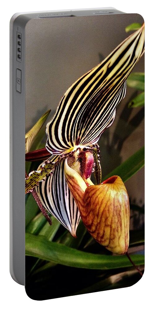 Lady Slipper Portable Battery Charger featuring the photograph Lady Slipper Orchid by Bruce Bley