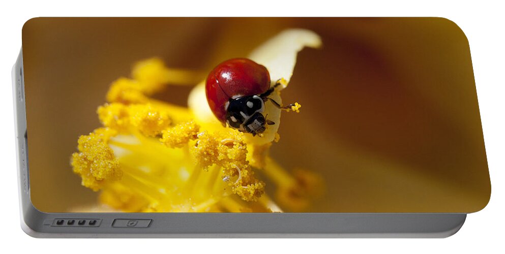 Ladybug Portable Battery Charger featuring the photograph Ladybug Picking Flowers by Diana Haronis