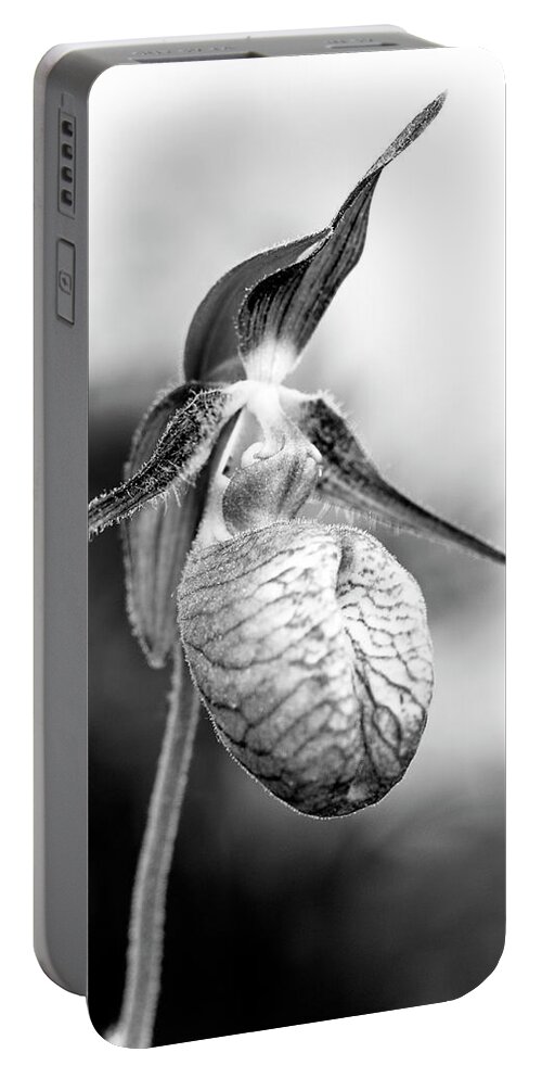 Flowers Portable Battery Charger featuring the photograph Lady's Slipper Orchid Flower in Black and White by Betty Denise