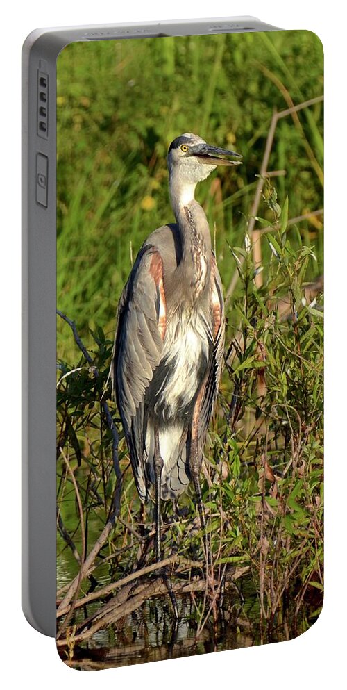 Heron Portable Battery Charger featuring the photograph Lake Bonny Visitor by Carol Bradley