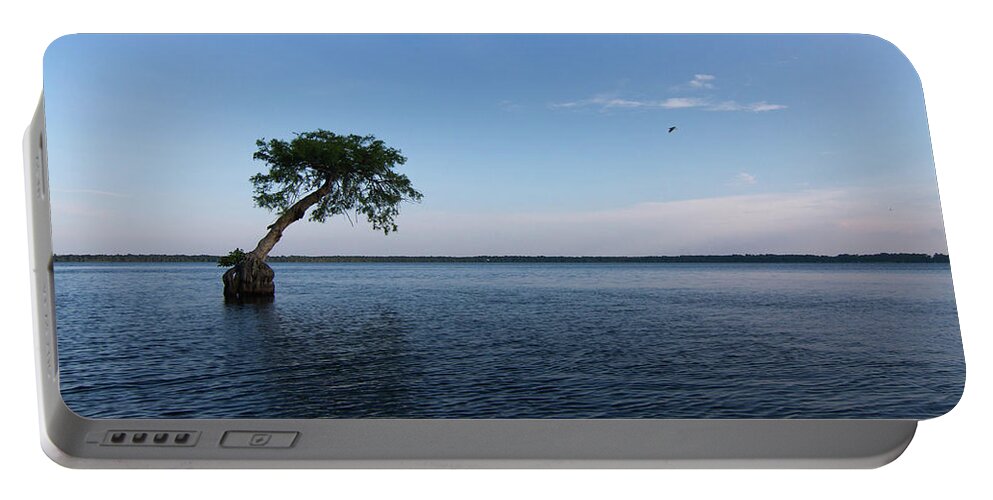 Lake Portable Battery Charger featuring the photograph Lake Disston Cypress #2 by Paul Rebmann
