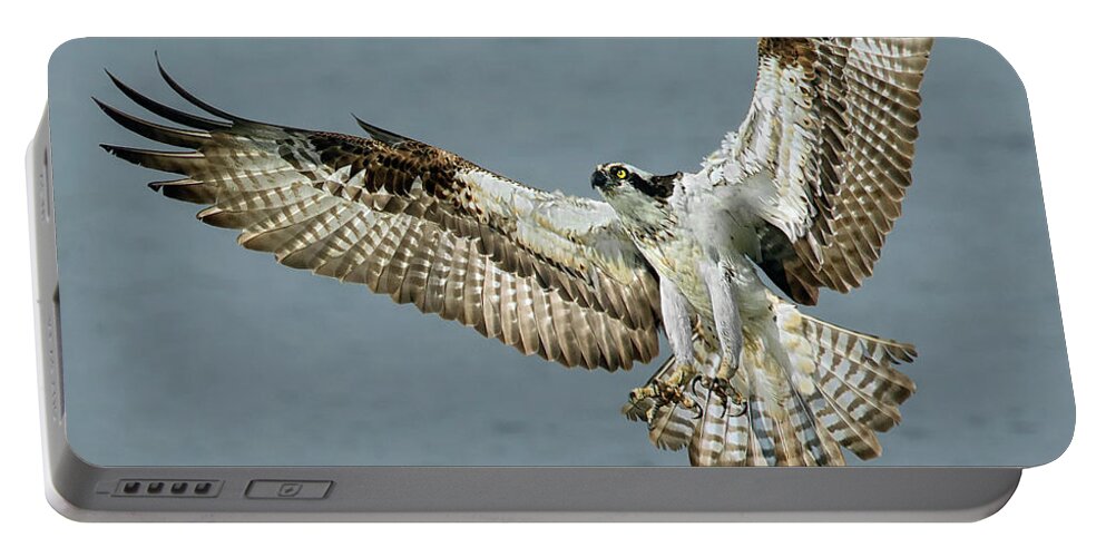 Osprey Portable Battery Charger featuring the photograph Osprey Approach by Art Cole