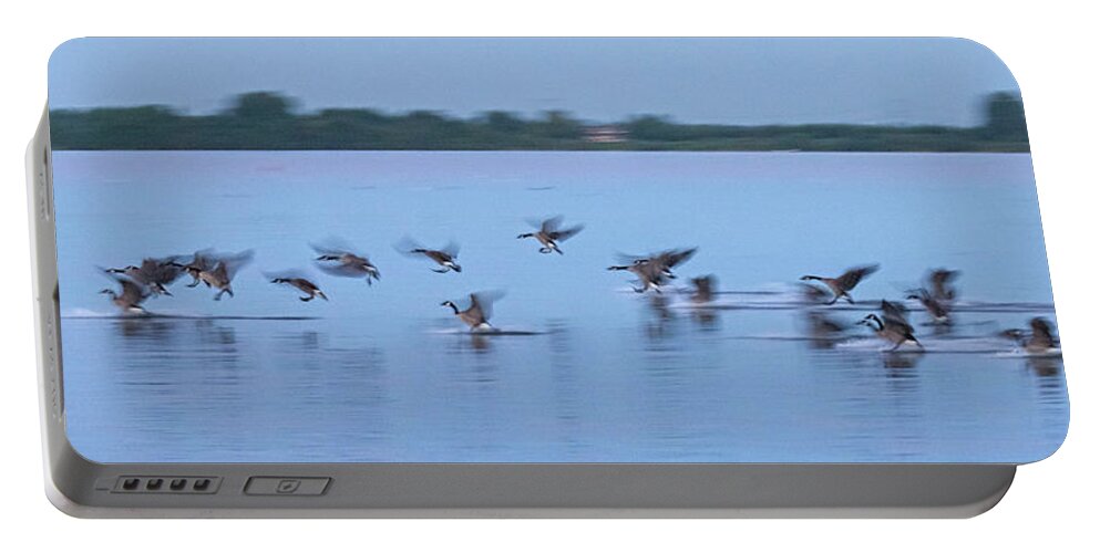 Holland Portable Battery Charger featuring the photograph Landing goose by Casper Cammeraat