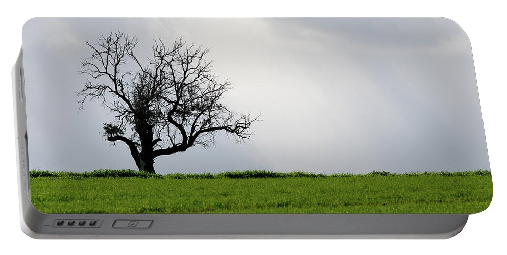 Olive Tree Portable Battery Charger featuring the photograph Landscape, Lonely olive tree in a green meadow by Michalakis Ppalis