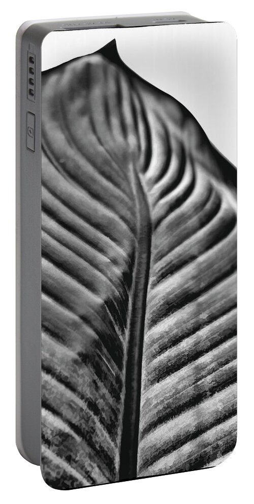 Leaf Portable Battery Charger featuring the photograph Large Leaf by John Hansen