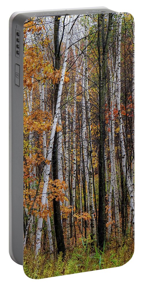 Autumn Portable Battery Charger featuring the photograph Last Stand by Kendall McKernon