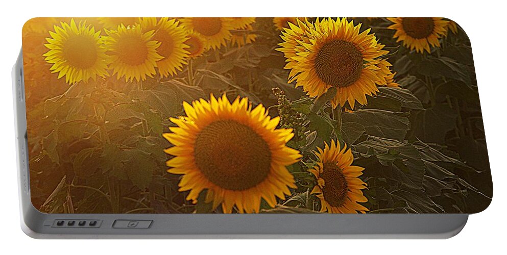 Gold Flowers Portable Battery Charger featuring the photograph Late Afternoon Golden Glow by Karen McKenzie McAdoo