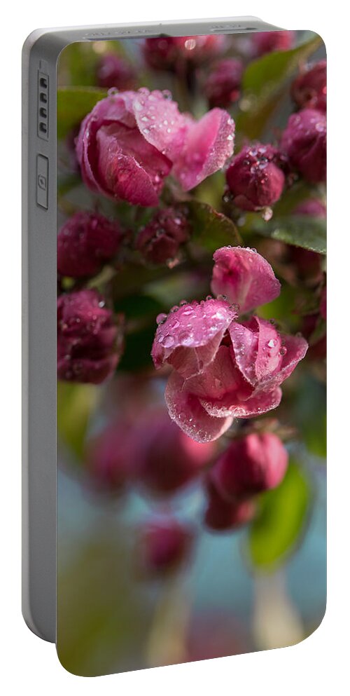 Awakening Portable Battery Charger featuring the photograph Late May 1 by Jakub Sisak