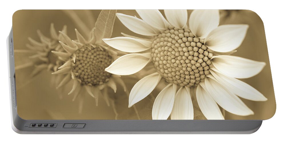 Beautiful Portable Battery Charger featuring the photograph Late Summer Wildflower in Sepia by Joni Eskridge