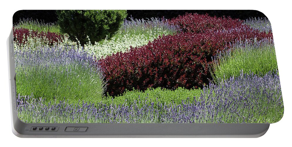 Lavender Portable Battery Charger featuring the photograph Lavender And Shrub Garden by Suzanne Luft