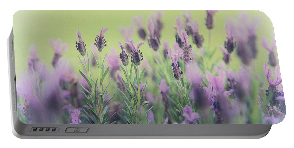 Flowers Portable Battery Charger featuring the photograph Lavender by Keith Hawley