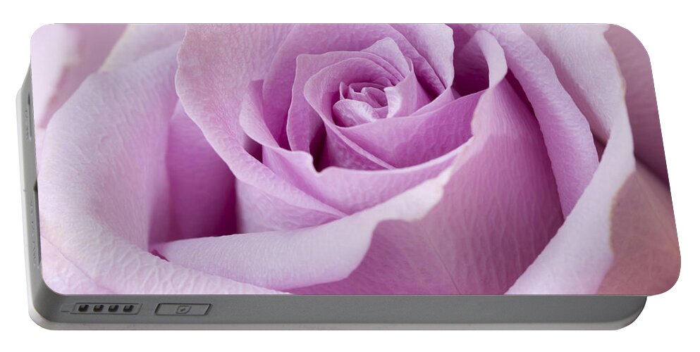 Rose Portable Battery Charger featuring the photograph Lavender Rose Just About Perfect by Sandra Foster