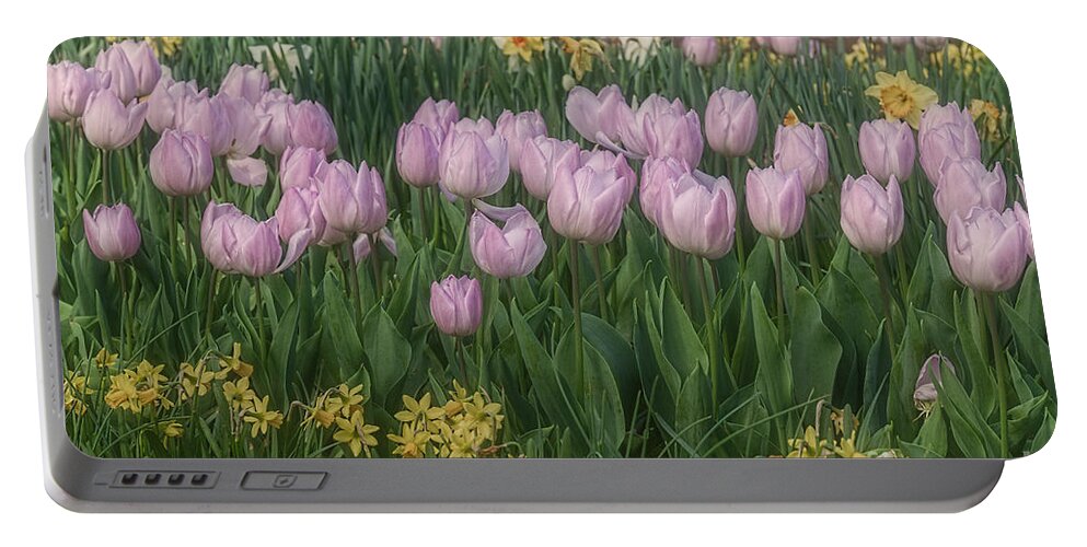 Lavender Portable Battery Charger featuring the photograph Lavender Tulips by Elaine Teague