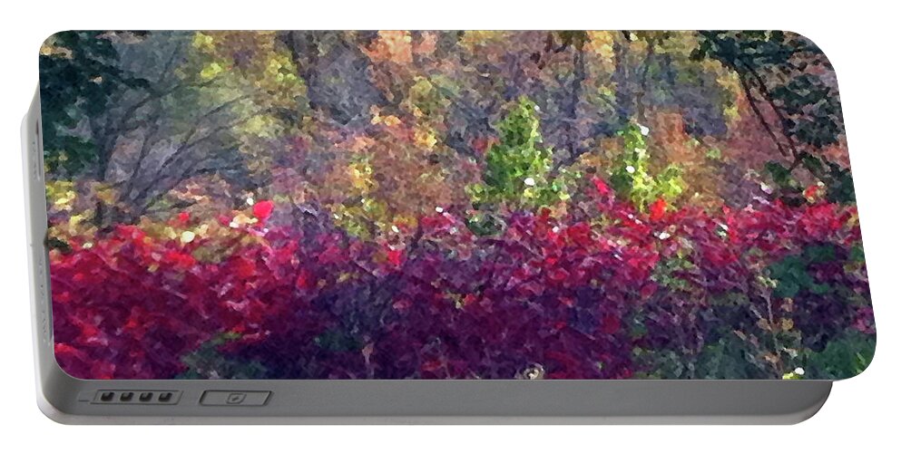 Landscape Portable Battery Charger featuring the photograph Layers of Autumn by Steve Karol