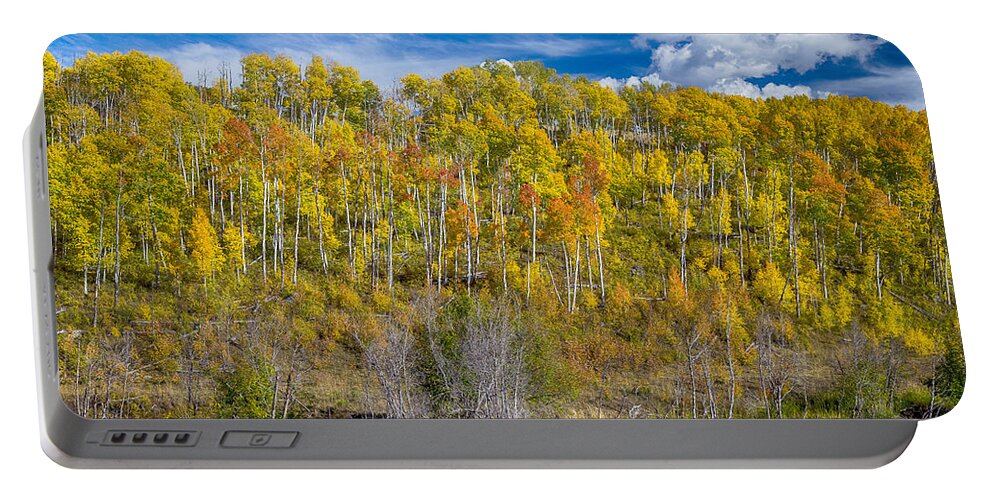 Scenic Portable Battery Charger featuring the photograph Layers of Colors of an Aspen Tree Forest by James BO Insogna