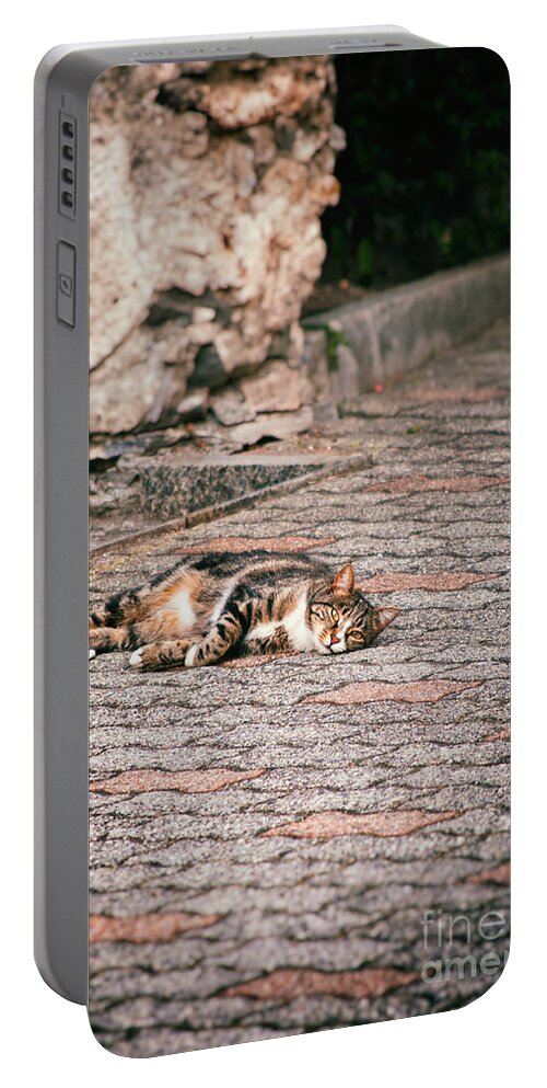 Animal Portable Battery Charger featuring the photograph Lazy cat  by Silvia Ganora