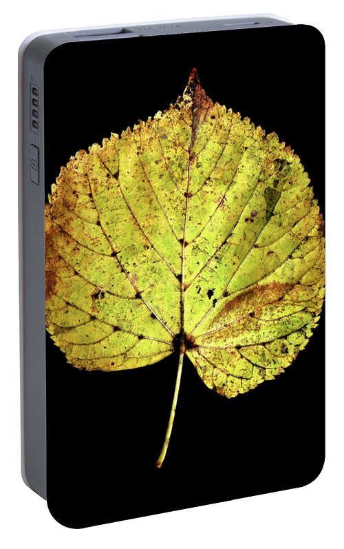 Leaf Portable Battery Charger featuring the photograph Leaf 10 by David J Bookbinder