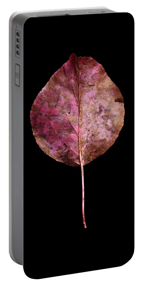 Leaves Portable Battery Charger featuring the photograph Leaf 20 by David J Bookbinder