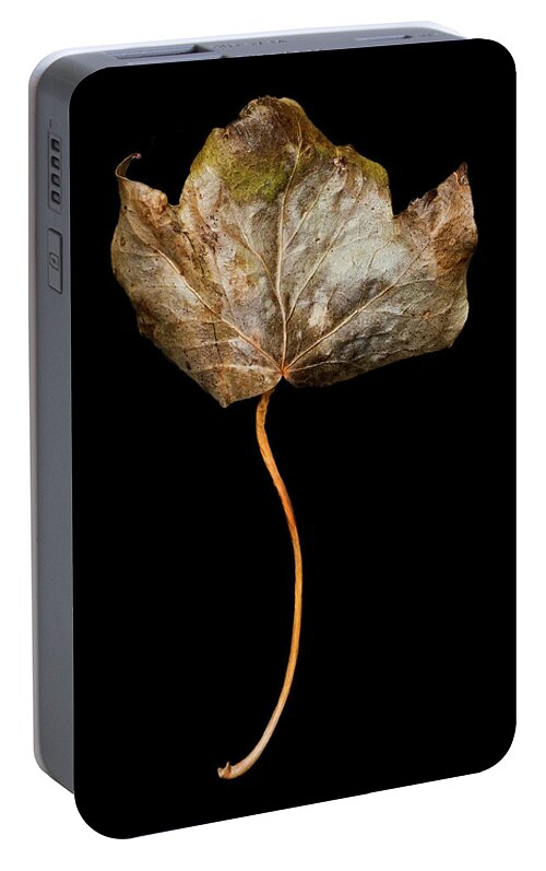 Leaf Portable Battery Charger featuring the photograph Leaf 3 by David J Bookbinder