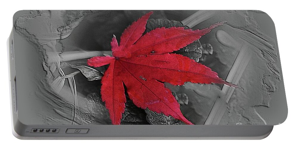Leaf Portable Battery Charger featuring the photograph Leaf abstract by Yumi Johnson