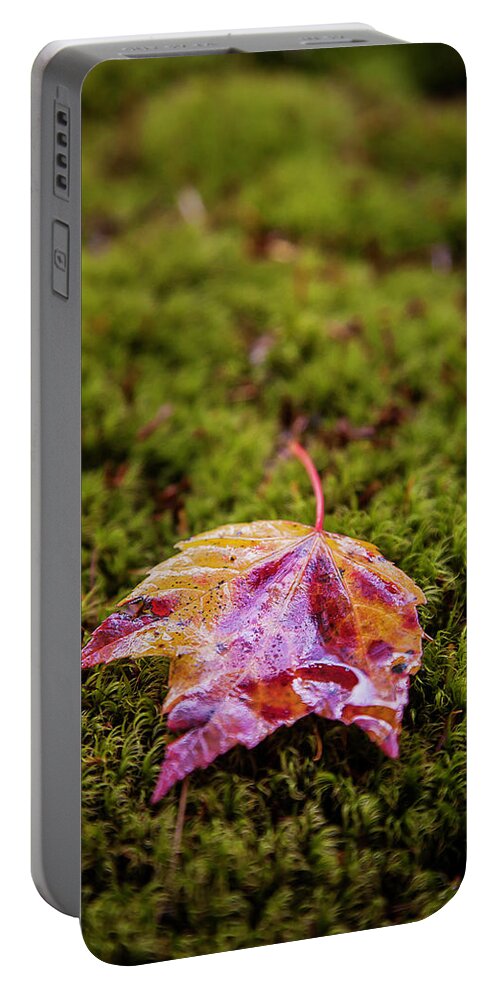 Fall Portable Battery Charger featuring the photograph Leaf on Moss by Benjamin Dahl