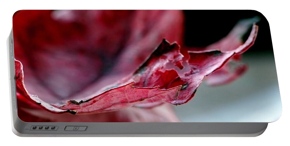 Abstract Portable Battery Charger featuring the photograph Leaf Study II by Lauren Radke