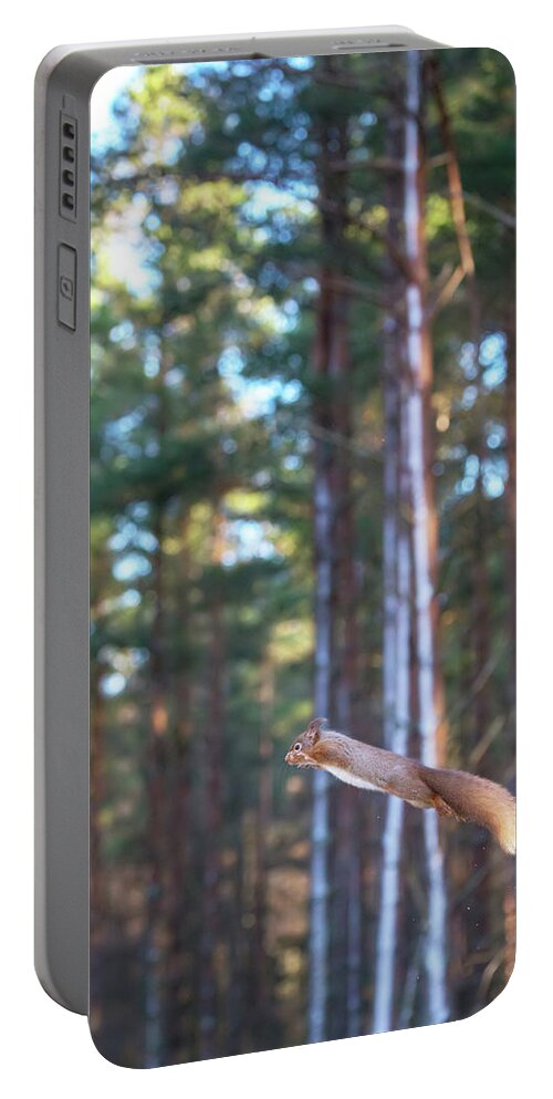 Red Portable Battery Charger featuring the photograph Leaping Red Squirrel Tall by Pete Walkden