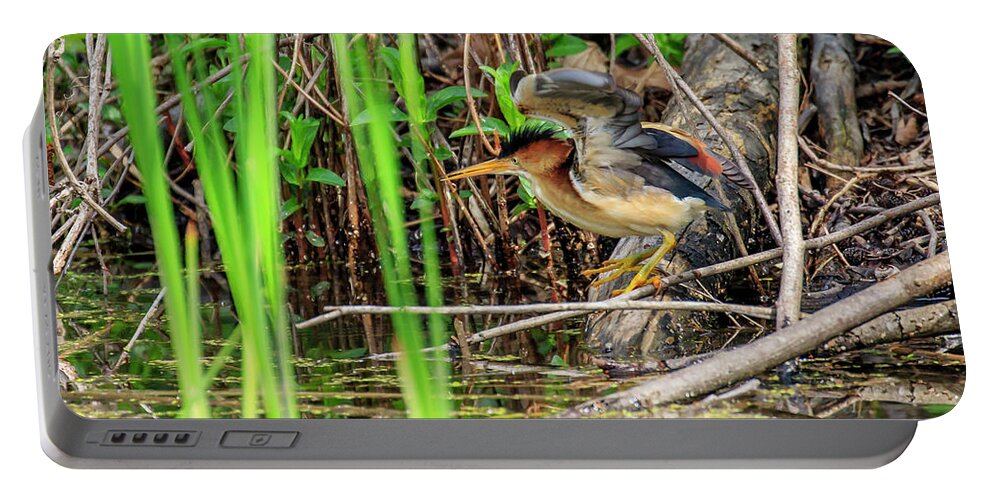 Gary Hall Portable Battery Charger featuring the photograph Least Bittern by Gary Hall