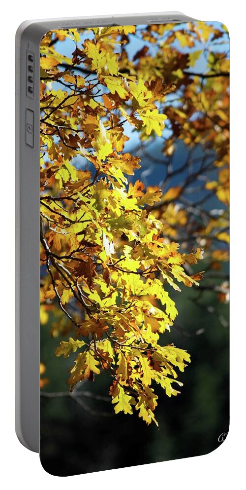 Fall Portable Battery Charger featuring the photograph Leaves on Fire by Chelsea Brodin