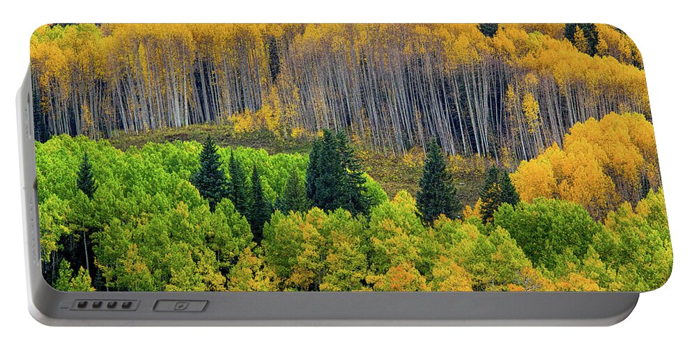 Aspen Portable Battery Charger featuring the photograph Lemon and Lime by John De Bord