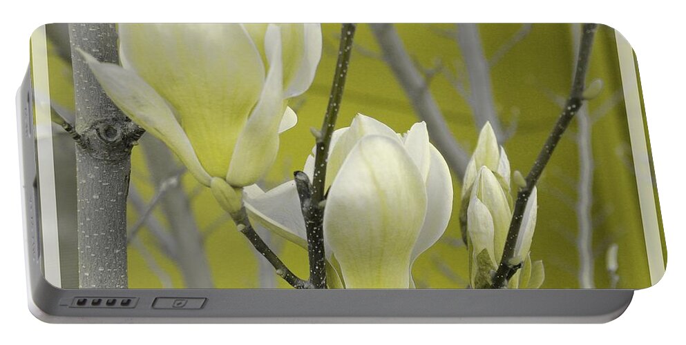 Flowers Portable Battery Charger featuring the photograph Lemon Yellow by Athala Bruckner