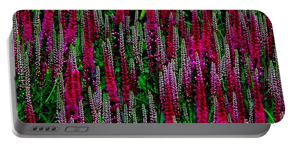 Lumins Portable Battery Charger featuring the photograph Les Fleurs by Elfriede Fulda