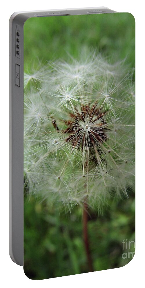 Dandelion Portable Battery Charger featuring the photograph Let's Wish by Kim Tran
