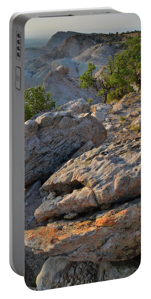 Little Park Road Bentonite Site Portable Battery Charger featuring the photograph Lichen Covered Boulders Above Bang's Canyon by Ray Mathis