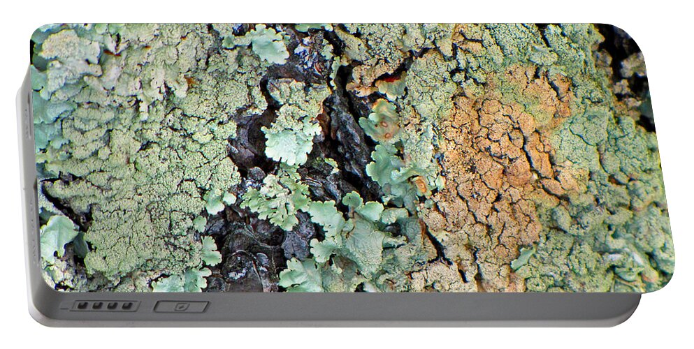 Bark Portable Battery Charger featuring the photograph Lichen Field by Lynda Lehmann