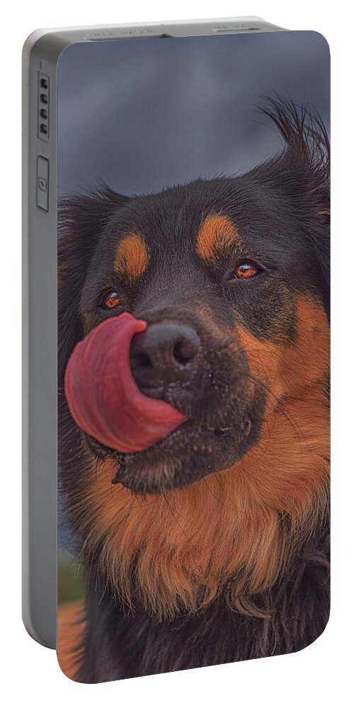 Animal Portable Battery Charger featuring the photograph Lick by Brian Cross