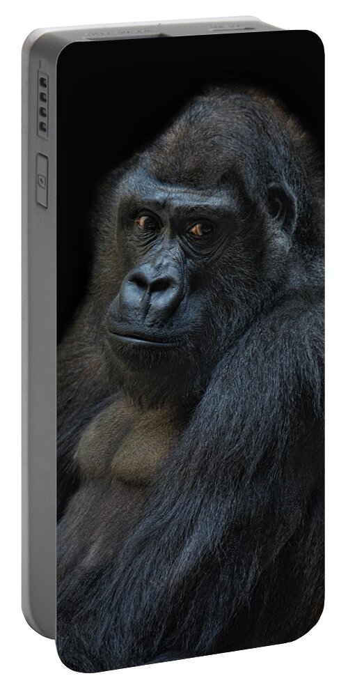Animal Portable Battery Charger featuring the photograph Life Is Not Allways Funny by Joachim G Pinkawa