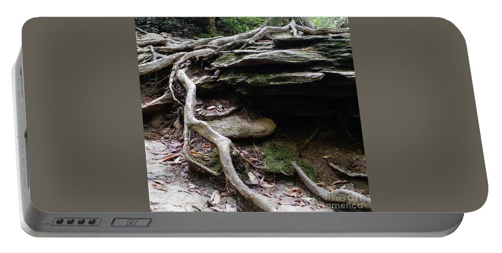 Clinging Roots Portable Battery Charger featuring the photograph Life of a Tree by Anita Adams