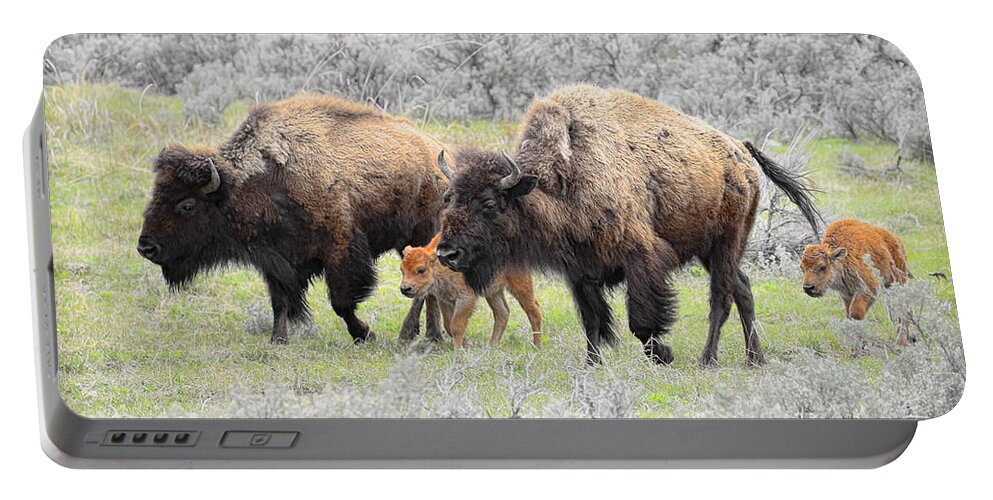 Buffalo Portable Battery Charger featuring the photograph Life out West by Steve McKinzie