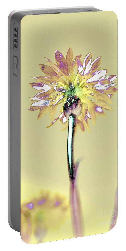 Flower Portable Battery Charger featuring the photograph Light and Lovely by Dani McEvoy