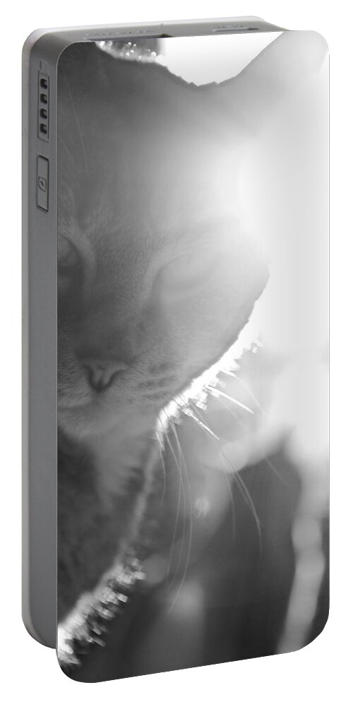 Cat Portable Battery Charger featuring the photograph Light Beam by Rachel Morrison