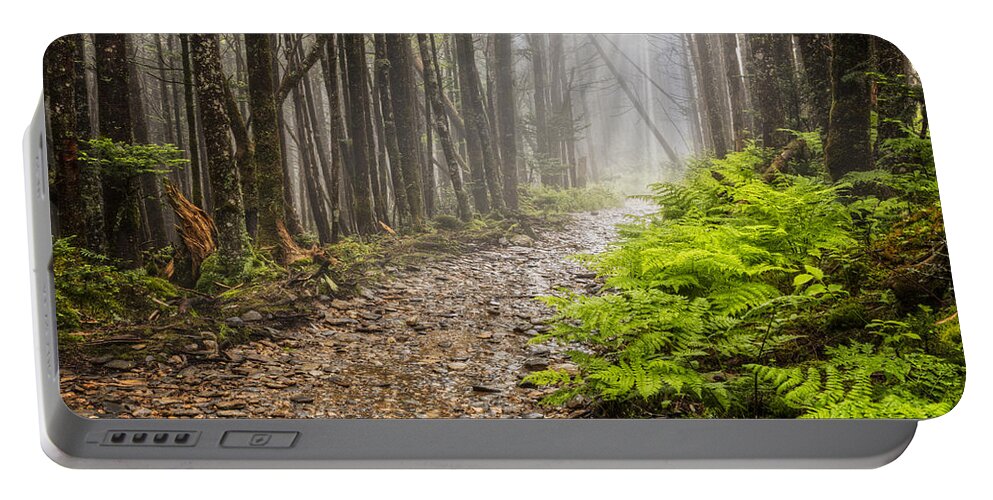 Trail Portable Battery Charger featuring the photograph Light Beams by Debra and Dave Vanderlaan