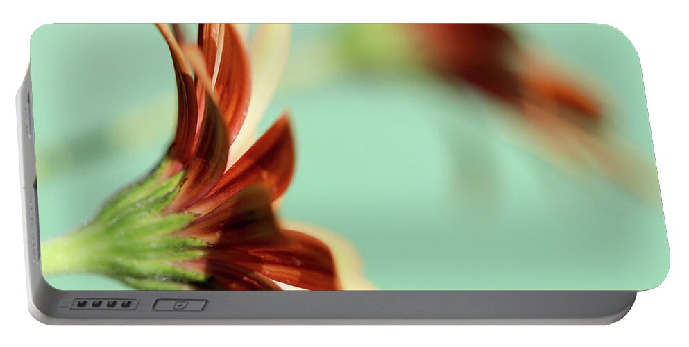 Flower Portable Battery Charger featuring the photograph Basking in the Sun by Mary Anne Delgado