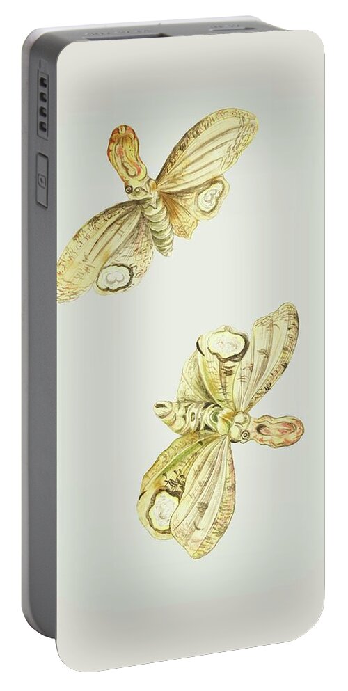 Light Portable Battery Charger featuring the mixed media Light Producing Moth Called Lantern Bearer Cornelis Markee 1763 by Movie Poster Prints