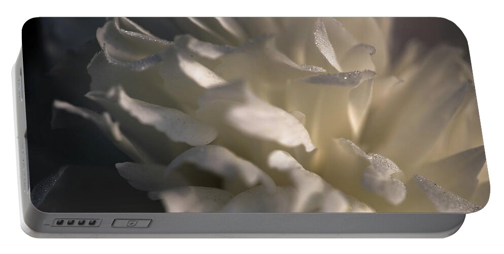 Flower Portable Battery Charger featuring the photograph Light Wet Flower by Sherman Perry