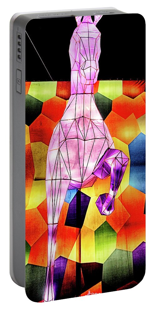 Lights Of The World Portable Battery Charger featuring the photograph Lights of the World Horse by C H Apperson